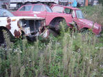 DSC07469.JPG