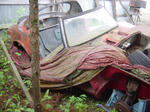 DSC07128.JPG