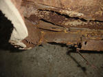 DSC00311.JPG