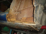 DSC01270.JPG