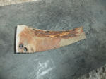 DSCF0244.jpg
