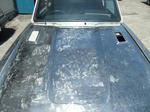 DSCF0371.jpg