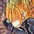 c01191_icon_2.jpg