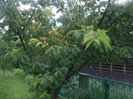 993f63cd.jpg