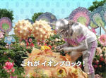c_crv_01_st06.jpg