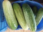 DSCF0899.JPG
