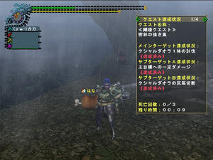 mhf_20100717_231323_119.jpeg