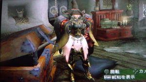PAP_0031.JPG