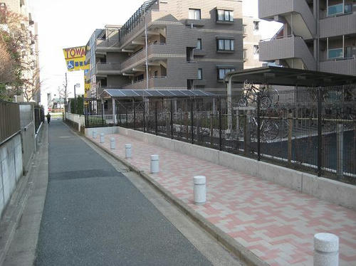 237.JPG