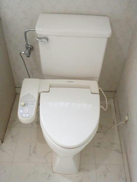 290.JPG