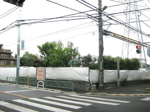77164333.jpeg
