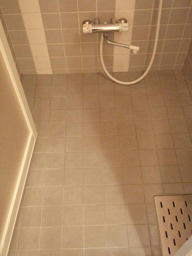 ca539494.jpeg