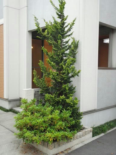 P5310006.JPG