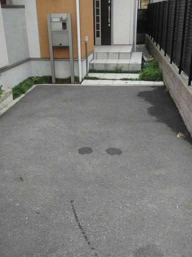 P5310007.JPG