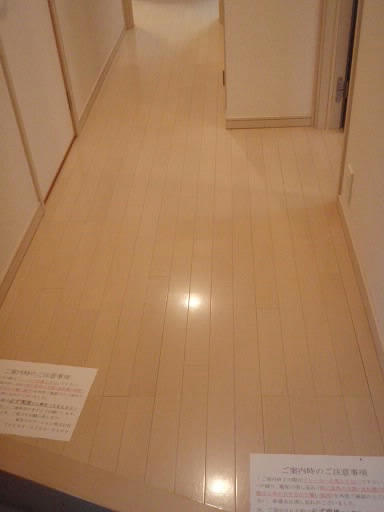 P5310015.JPG