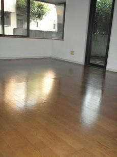 cfa85948.jpg