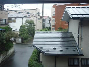 2599d0d5.jpg