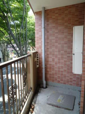 a2a40521.jpeg