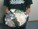 sashimi