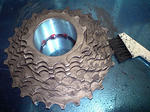PAP_2115.JPG