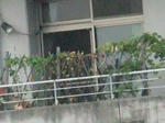 2009_0829a0005a.JPG