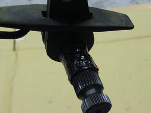 RIMG0240.jpg