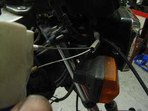RIMG0224.jpg