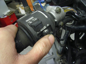 RIMG0231.jpg