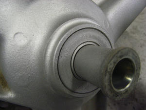 RIMG0251.jpg
