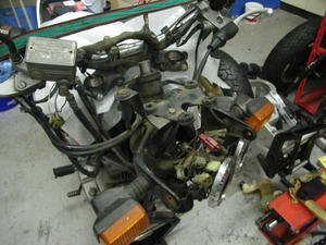 RIMG0255.jpg