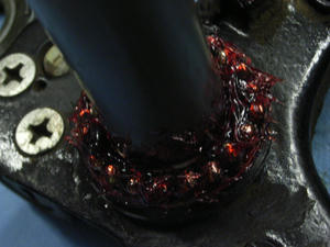 RIMG0258.jpg