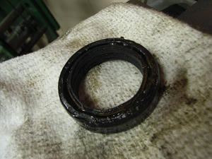 RIMG0269.jpg
