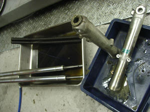 RIMG0265.jpg