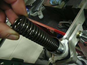 RIMG0260.jpg