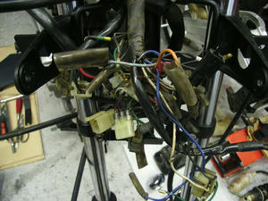 c77cf48a.jpg