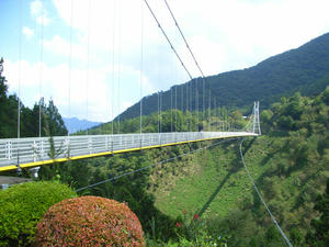 RIMG0679.JPG