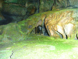 RIMG0688.JPG