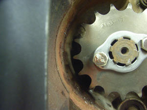 RIMG0709.JPG