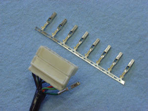 RIMG0978.JPG