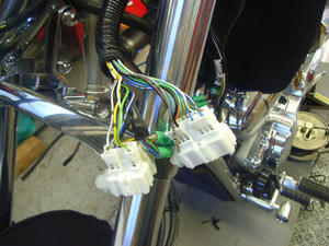 RIMG0977.JPG