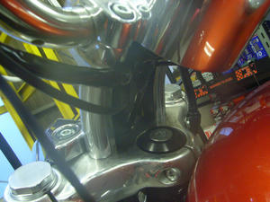 RIMG1038.JPG