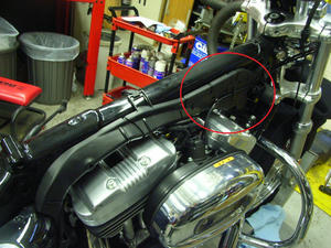RIMG1044.JPG
