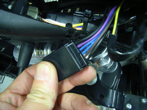 RIMG1045.JPG