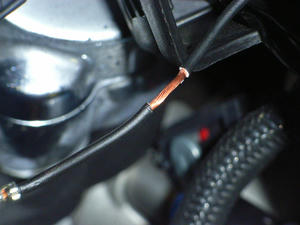 RIMG1050.JPG