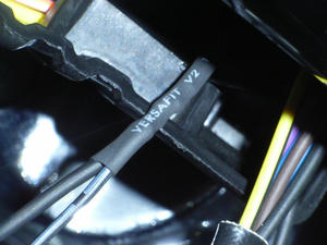 RIMG1056.JPG