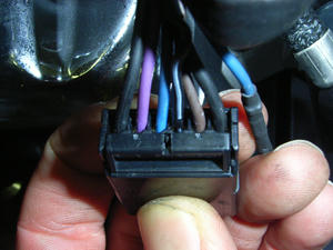 RIMG1057.JPG