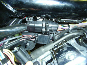 RIMG1059.JPG