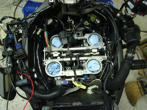 RIMG1132.JPG