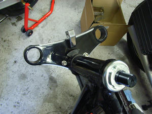 RIMG1154.JPG