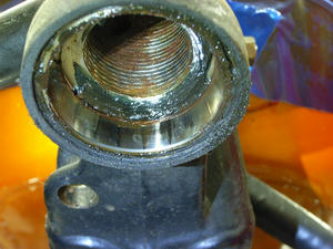 RIMG1326.JPG